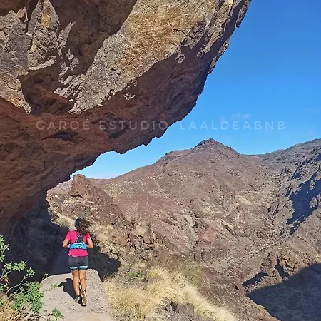 فيلة Los Llanos